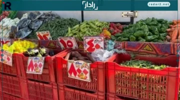 انخفاض جديد في أسعار الطماطم والملوخية بالدقهلية اليوم